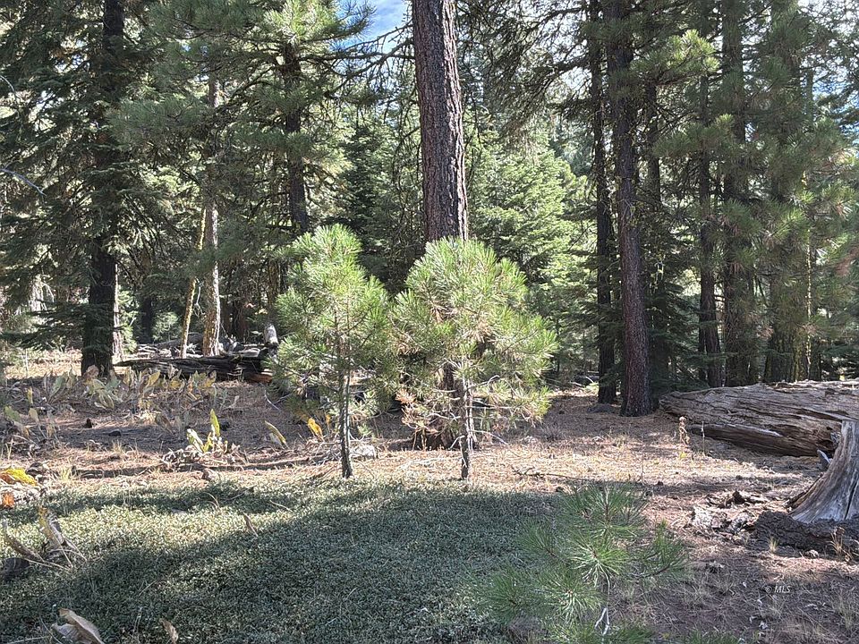 1st image of Truckee Dr
