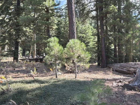 Truckee Dr, Alturas, CA 96101