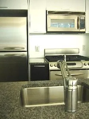 Rented by Douglas Elliman | media 17