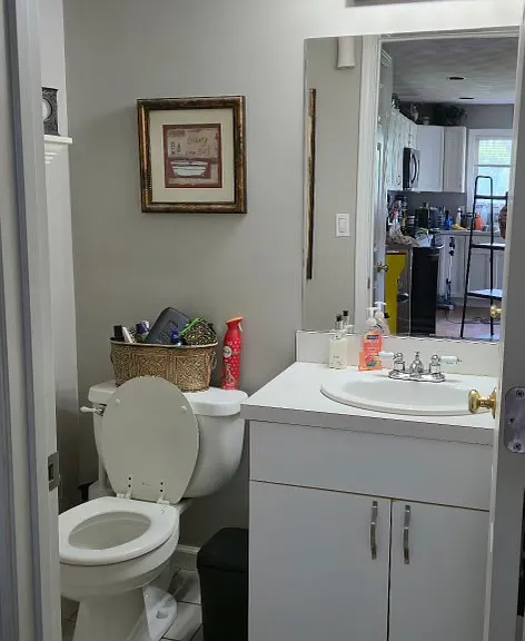 Brittania Cir — Photo 10