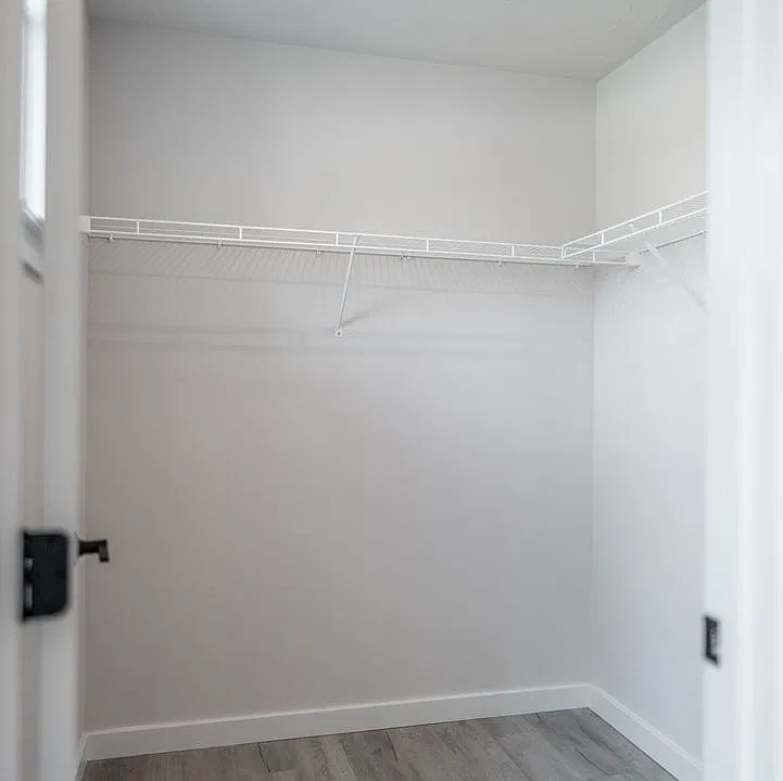 4 Pointer Ct