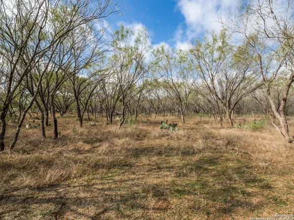 13993 Jarratt Rd LOT 18, Atascosa, TX 78002