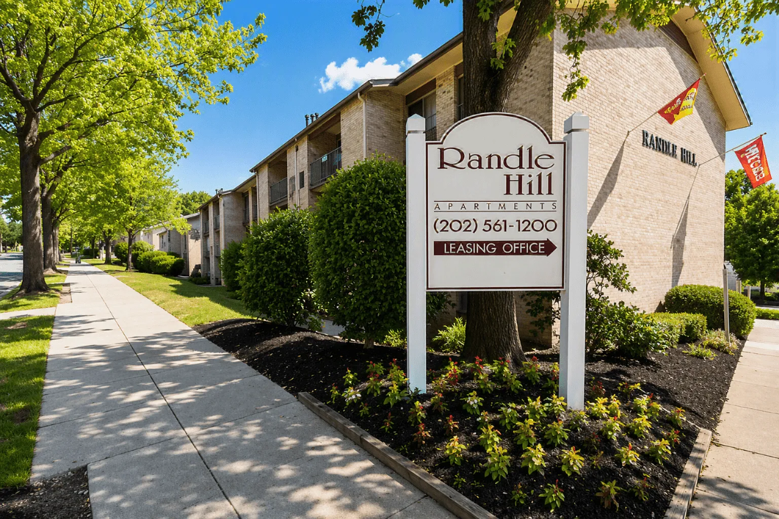 Randle Hill — Photo 1