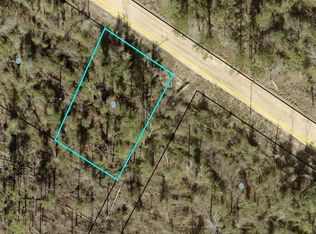 0 Riverside Acre, Donalsonville, GA 39845