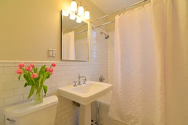 Sold by Carol E Levy