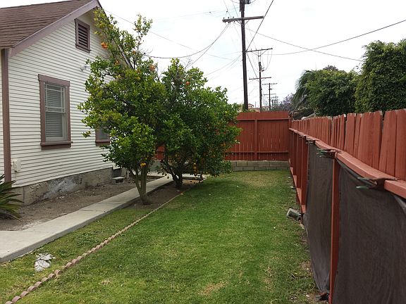 yard with Lemon, Tangerine