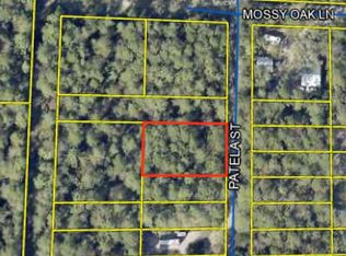 0 Patela St, Freeport, FL 32439
