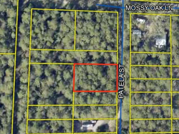 0 Patela St, Freeport, FL 32439