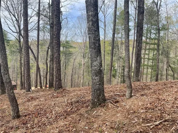 0 Finale St #1895, Talking Rock, GA 30175