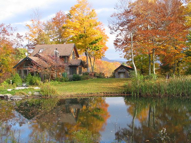 Autumn at the pond