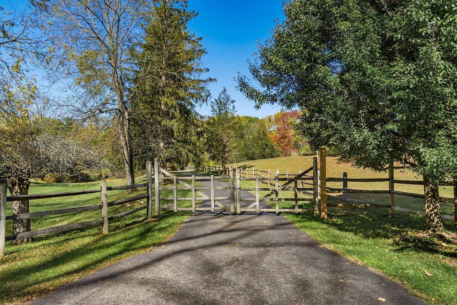 3596 Goose Ln photo 1