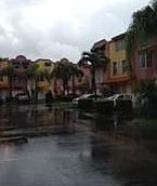 1st image of 395 NW 86th Pl #702
