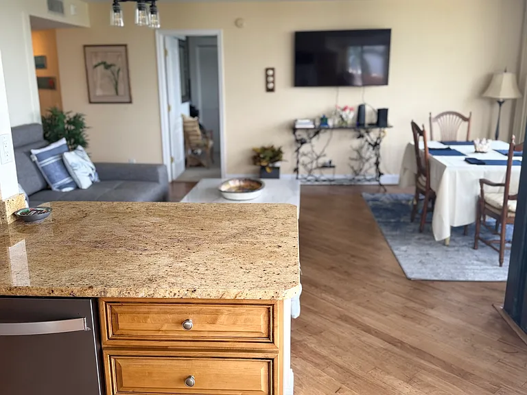 6357 Bahia Del Mar Blvd #404 — Photo 11