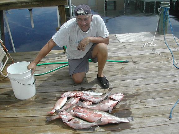 Grouper Anyone ?