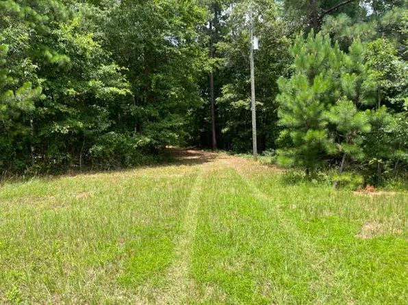 3613 Hopson Mill Road, Blythe, GA