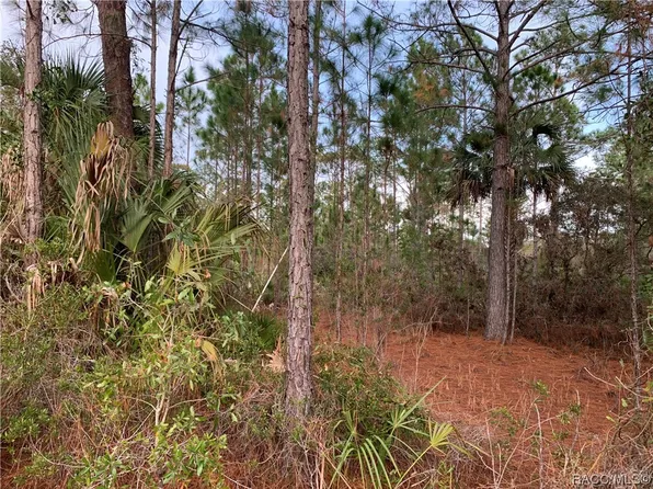 0 SW 103rd Ct, Cedar Key, FL 32625