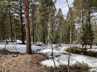 110 Blue Mesa Dr, Divide, CO 80814