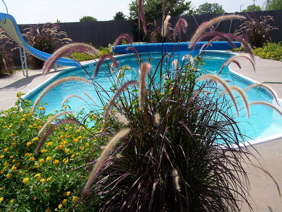 Summer resort backyard