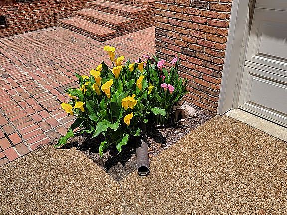 5th image of 105 Yorktown Dr