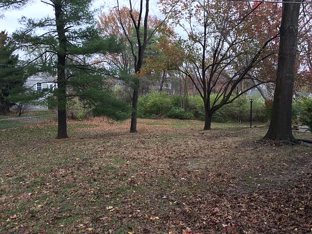 2nd image of 8501 Ensley Pl