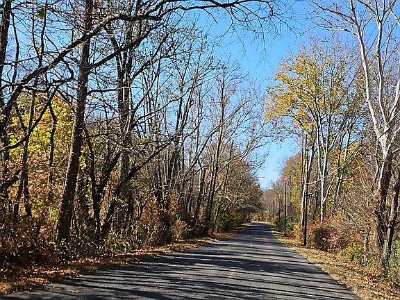 5th image of 248 Burrs Rd