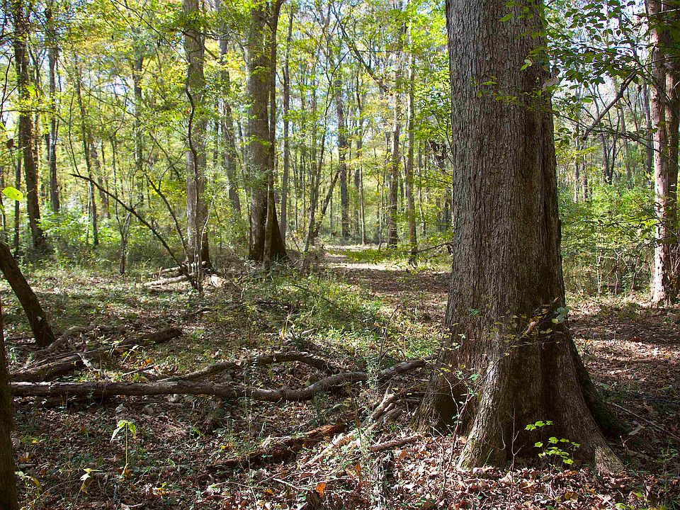 1st image of 1761 County Road 126