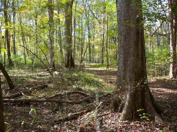 1761 County Road 126, Walnut, MS 38683