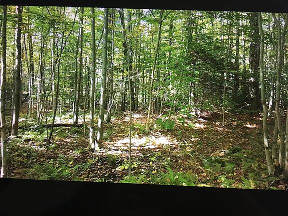 3 + wooded acres included