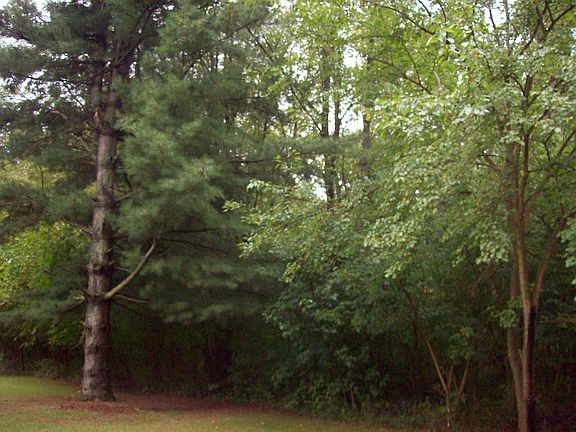 4th image of 118 E Whipple Rd
