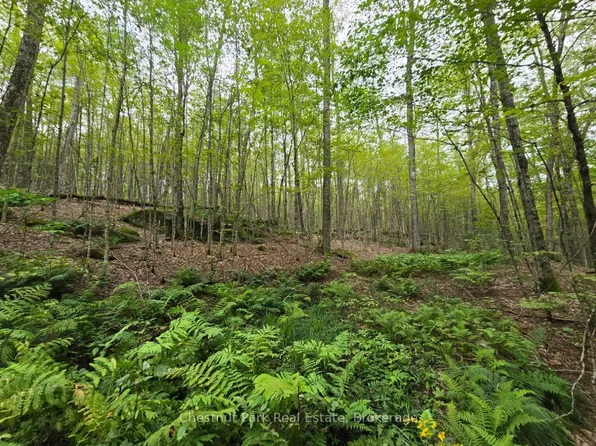 0 Old Track Rd, Perry, ON P0A 1J0