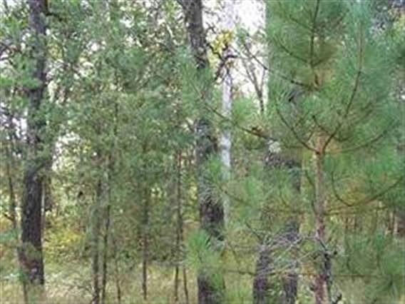 2nd image of N7983 Hwy 58