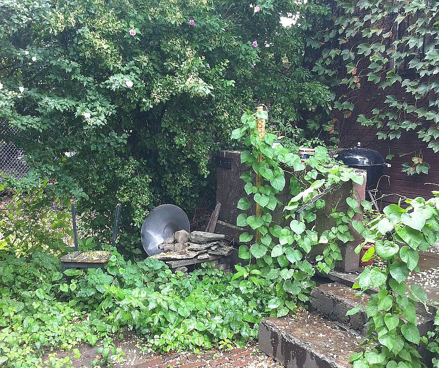 1st image of 228 1/2 Boerum St