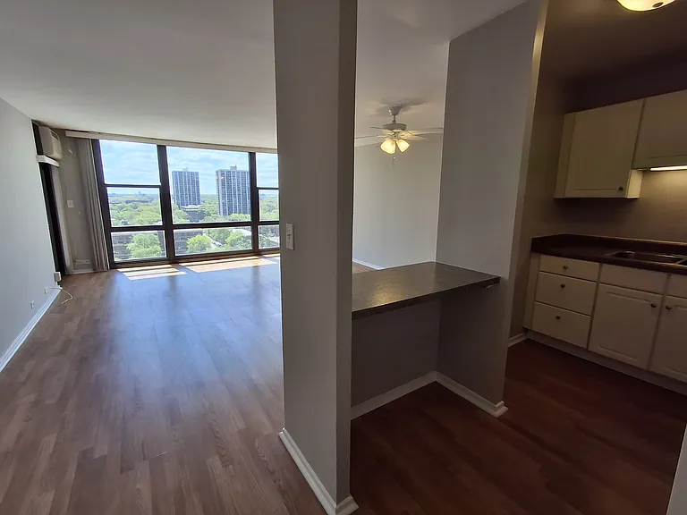 2605 S Indiana Ave #1208 — Photo 6