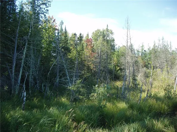 Near Wagner Vogt Road, Butternut, WI 54514