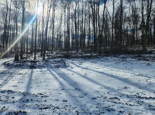 494 Turkey Ln, Little Meadows, PA 18830