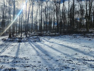 494 Turkey Ln, Little Meadows, PA, 18830