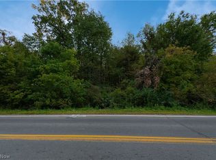 Mill St SW, Canton, OH 44706