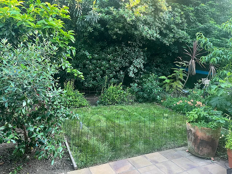 Patio and lawn area