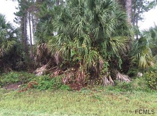 2 Ranber Pl, Palm Coast, FL 32164