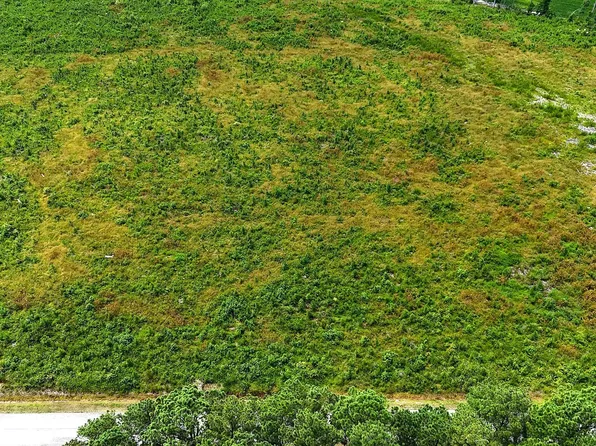 Cove Rd Lot 5, New Hope, NC 27944