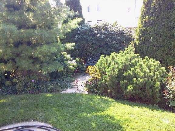 2nd image of 181 Wright Dr