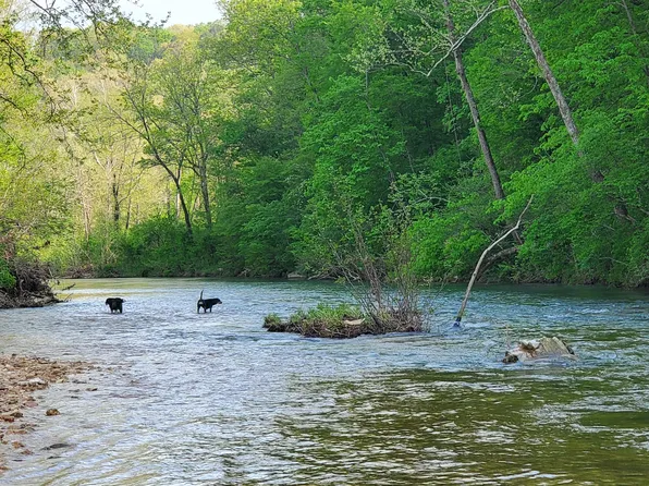 Tbd County Road 292, West Plains, MO 65775