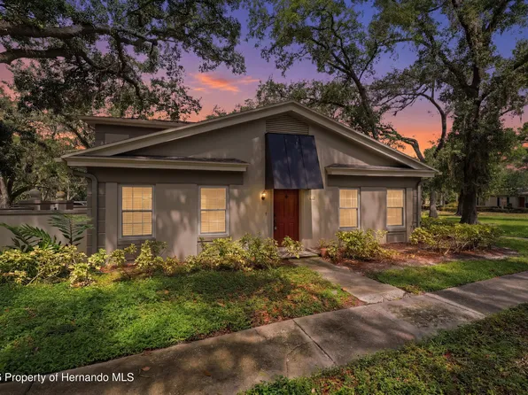 6214 Dewdrop Way, Temple Terrace, FL 33617