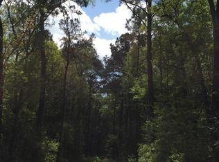 6303 Bears Bluff Rd, Wadmalaw Island, SC 29487