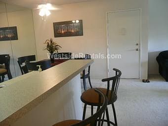 Counter/Bar Area