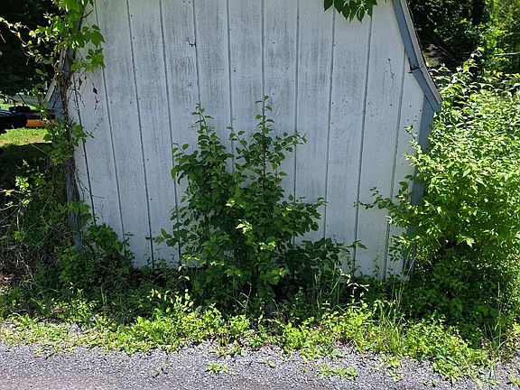 5th image of 14432 Amcelle St