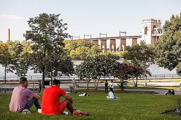 Rented by MNS | media 31