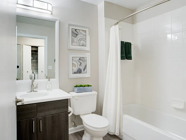 Full Bathroom View