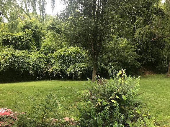 3rd image of 12130 Pepperwood Dr