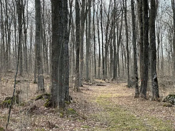 Dent Creek Rd, Tigerton, WI 54486